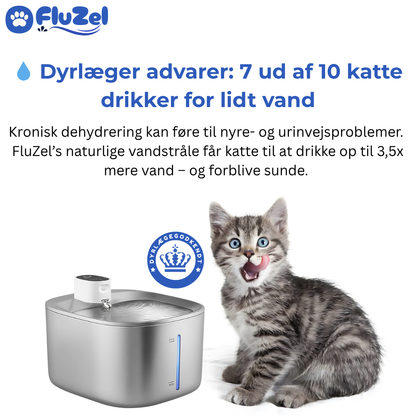 FluZel™: Dyrlægeanbefalet Rustfri Kattefontæne mod Urinvejsproblemer