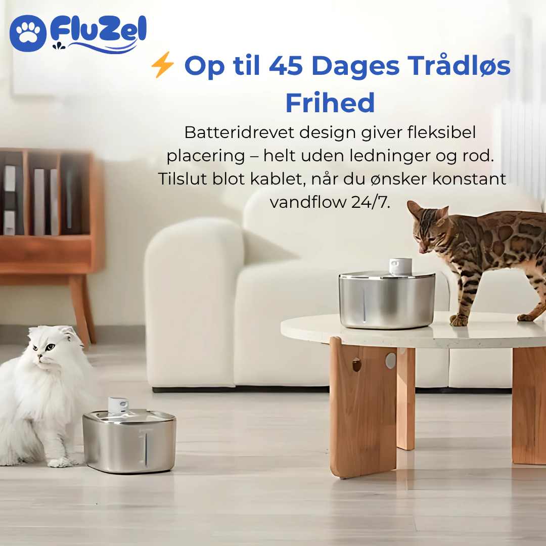 FluZel™: Dyrlægeanbefalet Rustfri Kattefontæne mod Urinvejsproblemer