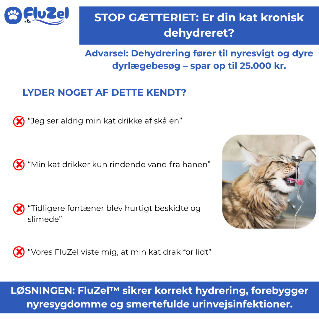FluZel™: Den Veterinær-Anbefalede Fontæne mod Urinvejsproblemer