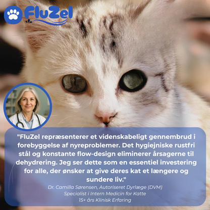 FluZel™: Den Veterinær-Anbefalede Fontæne mod Urinvejsproblemer